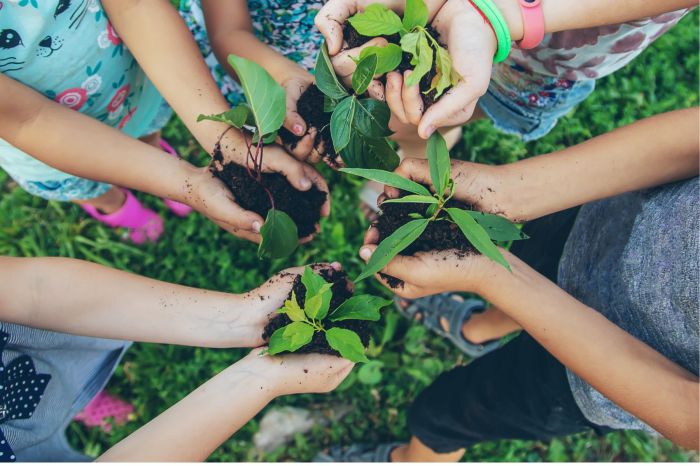 2024 Childrens Gardening Program Website