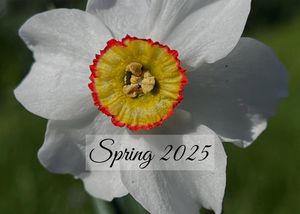 Spring 2025 Newsletter Icon Website 1