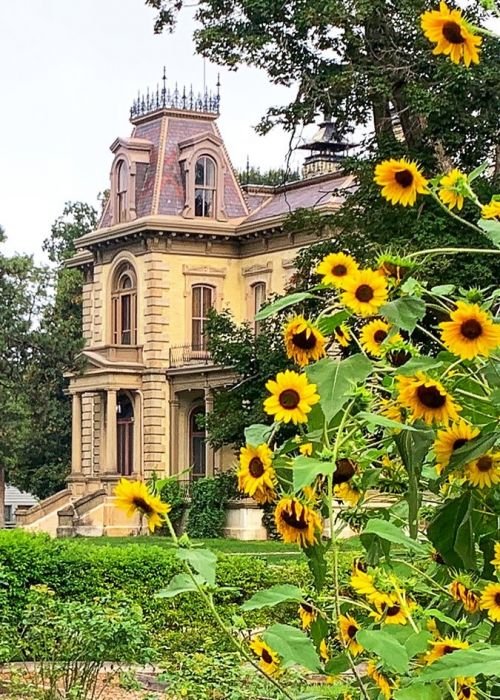 Mansion with Sunflowers II